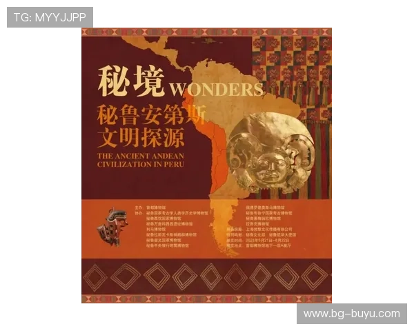 丹甲直播：探索古代文字的文化魅力之旅